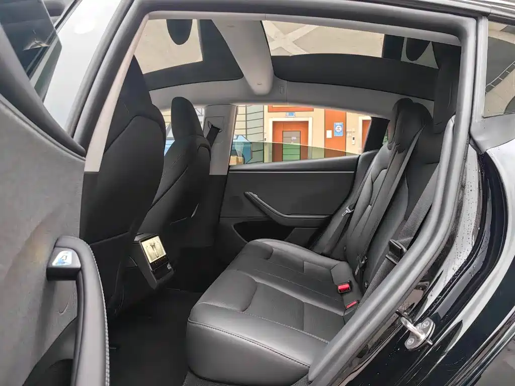 Tesla Model 3 — миниатюра 13