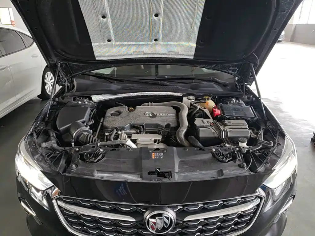 Buick Regal — миниатюра 20