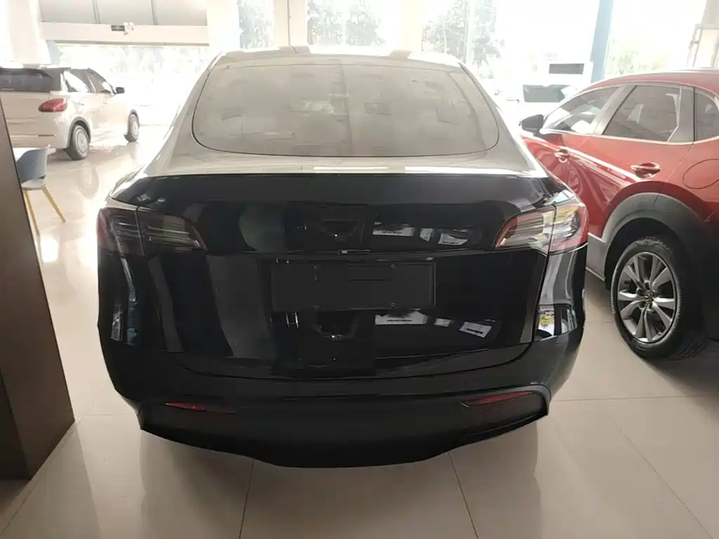 Tesla Model Y — миниатюра 6