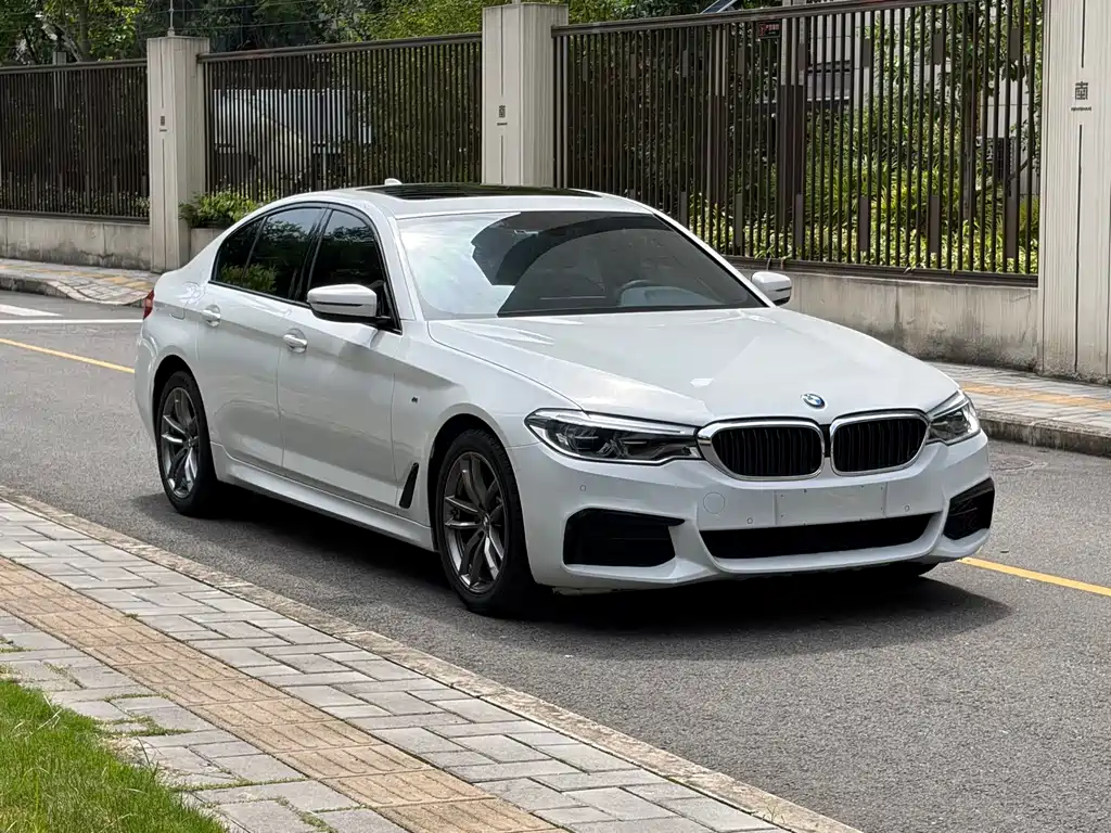 BMW 5 Series (Import) — миниатюра 5