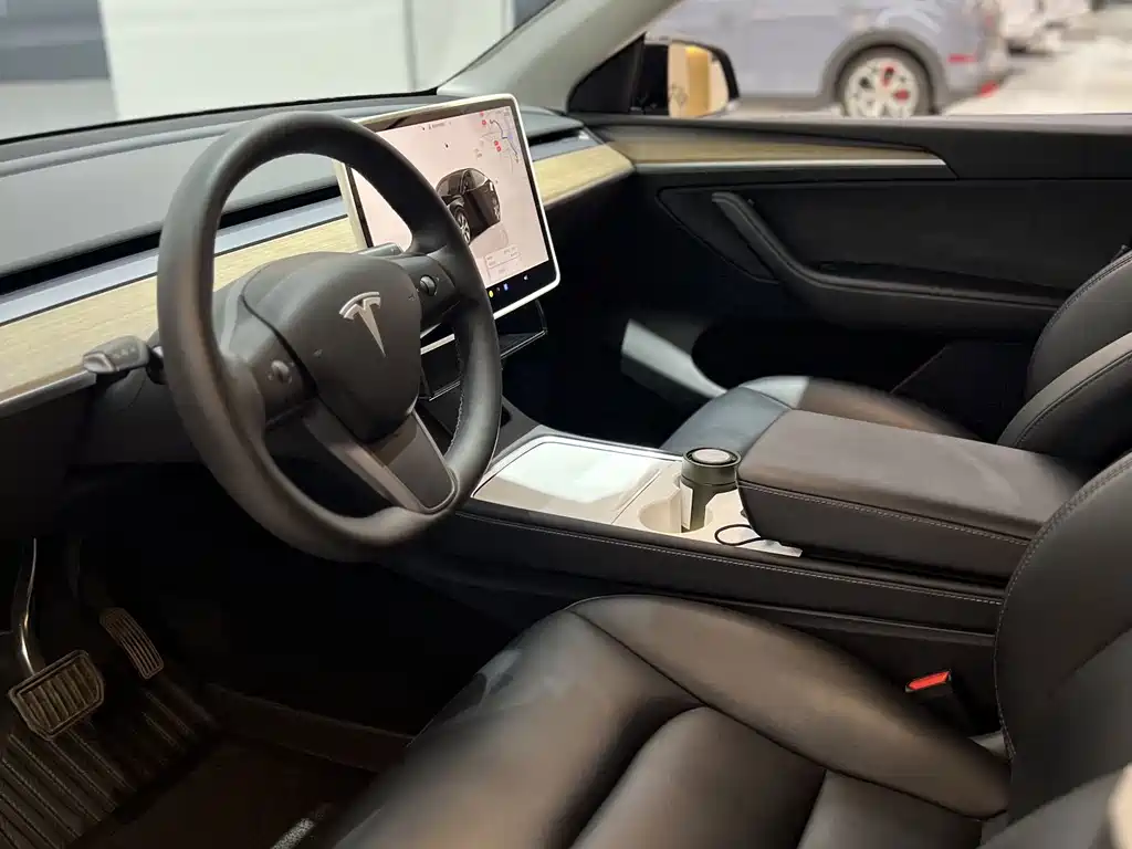 Tesla Model Y — миниатюра 7