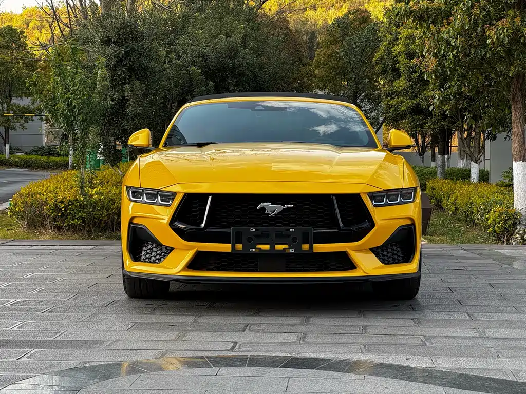 FORD MUSTANG