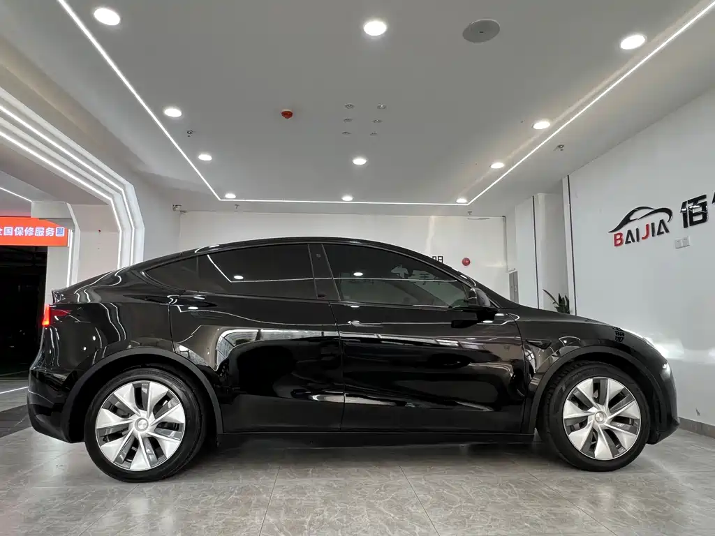 Tesla Model Y — миниатюра 7