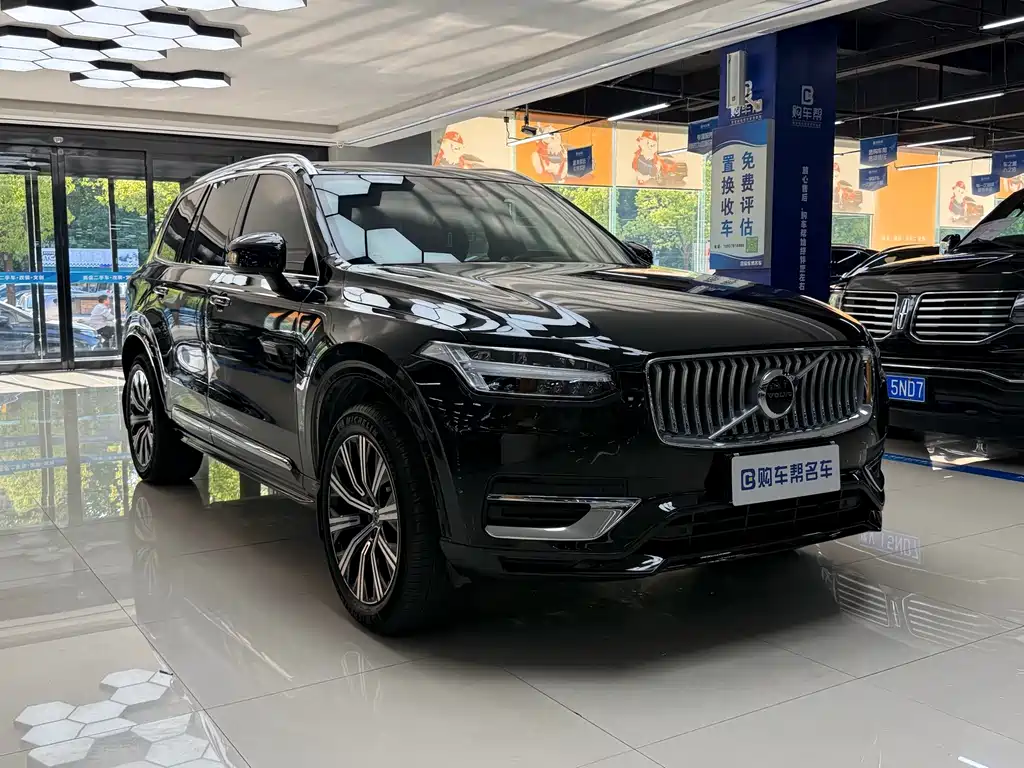 Volvo XC90 — миниатюра 3