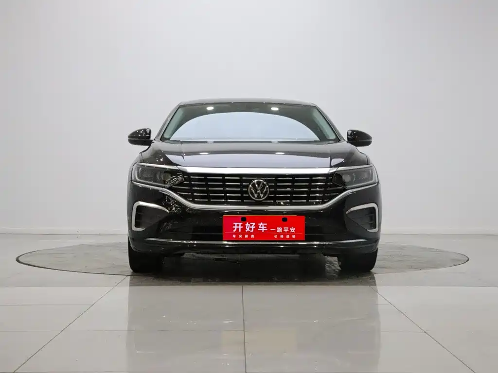Volkswagen Passat — миниатюра 2