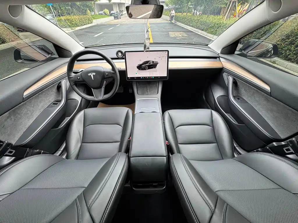 Tesla Model 3 — миниатюра 6