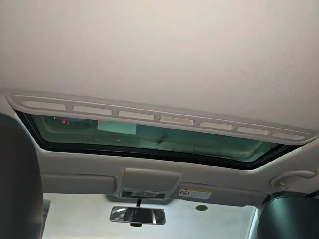 Volkswagen Gran Lavida — миниатюра 18