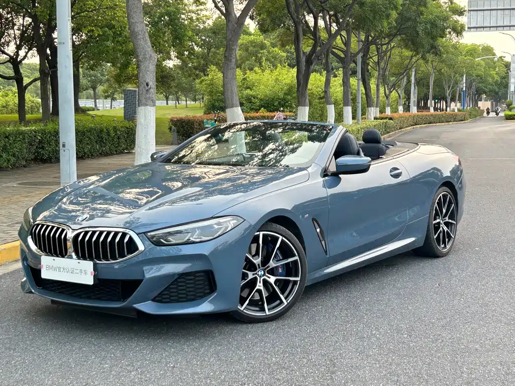 Купить BMW 8 Series