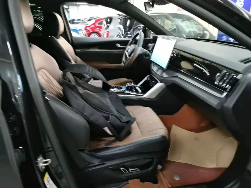 BYD Tang New Energy — миниатюра 25