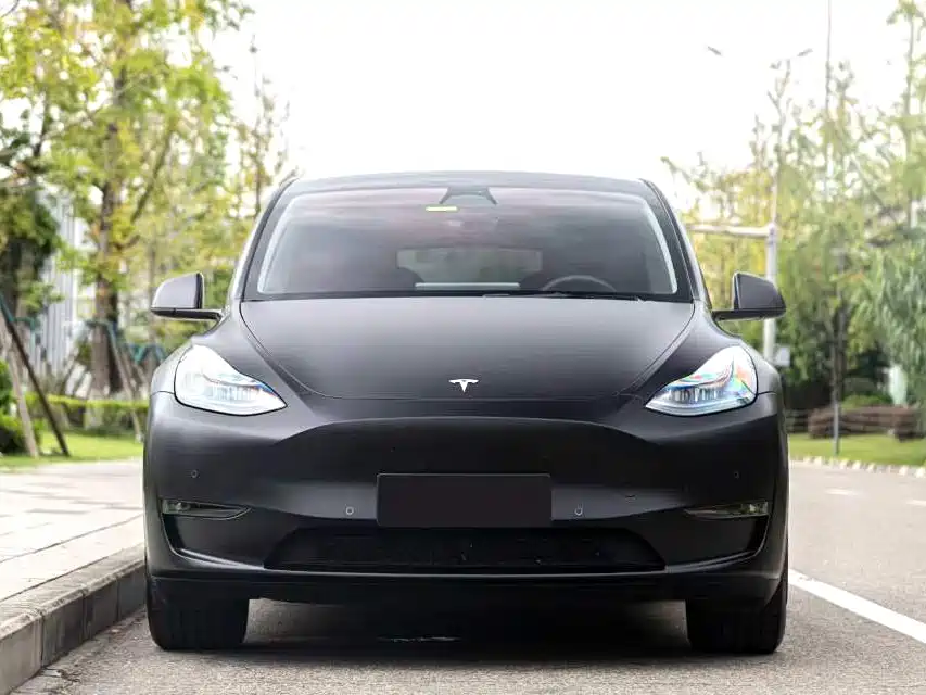 Tesla Model Y — миниатюра 2