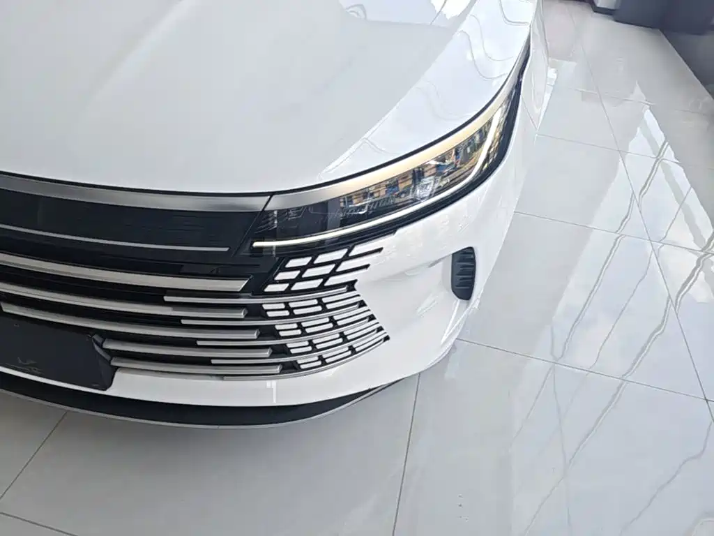 BYD Destroyer 05 — миниатюра 24