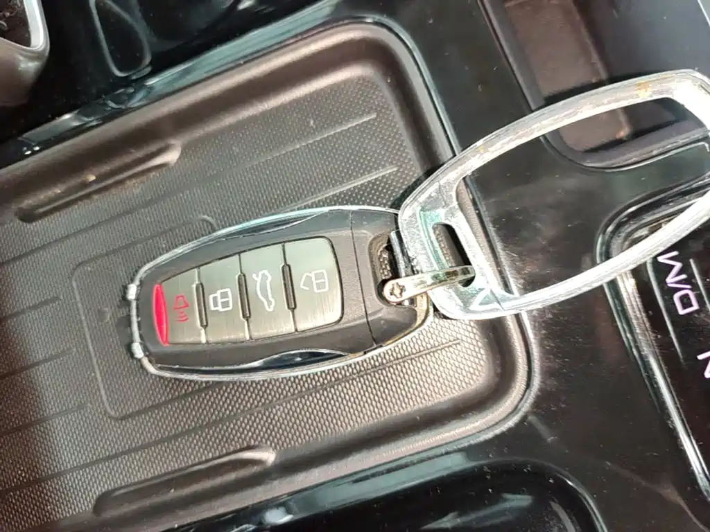 Haval Big Dog — миниатюра 12