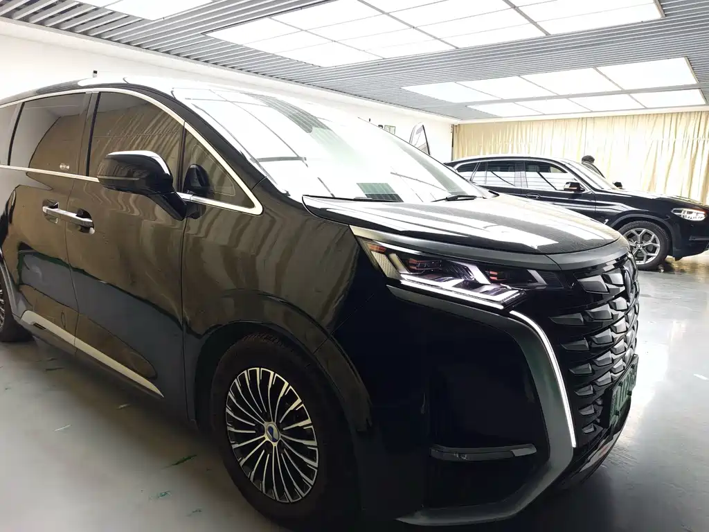Denza Denza D9 — миниатюра 7
