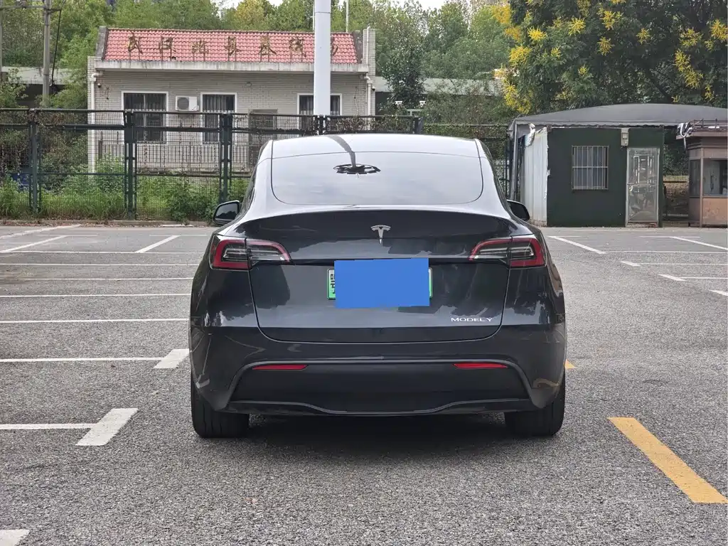 Tesla Model Y — миниатюра 6