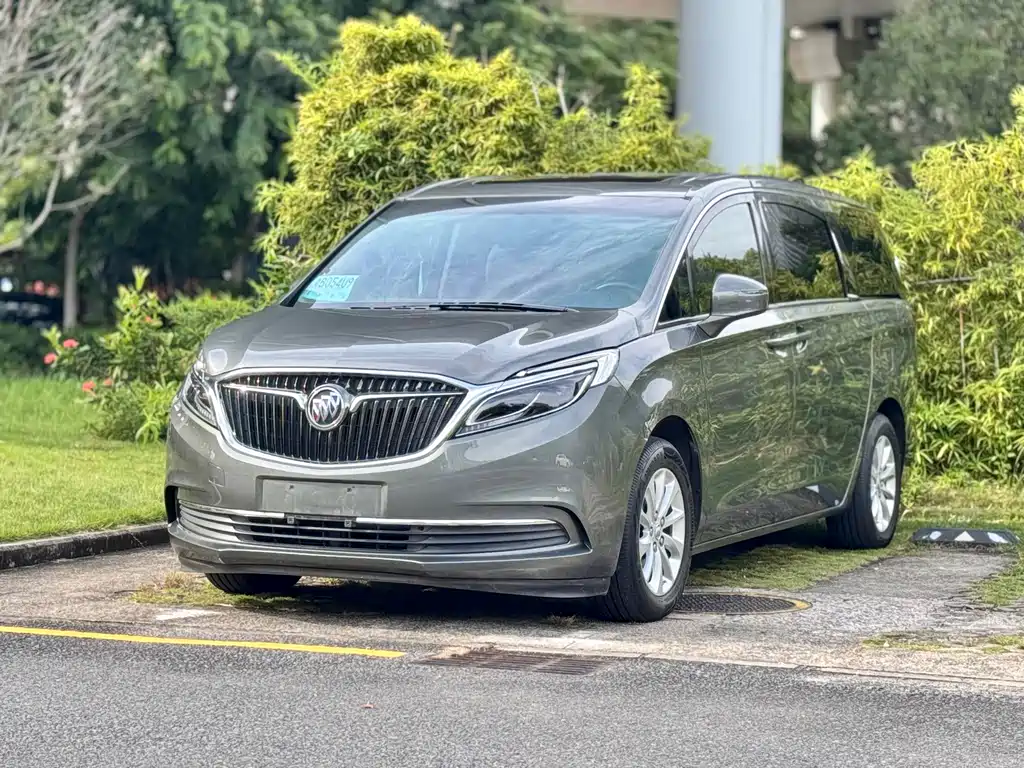 Buick GL8 — миниатюра 2