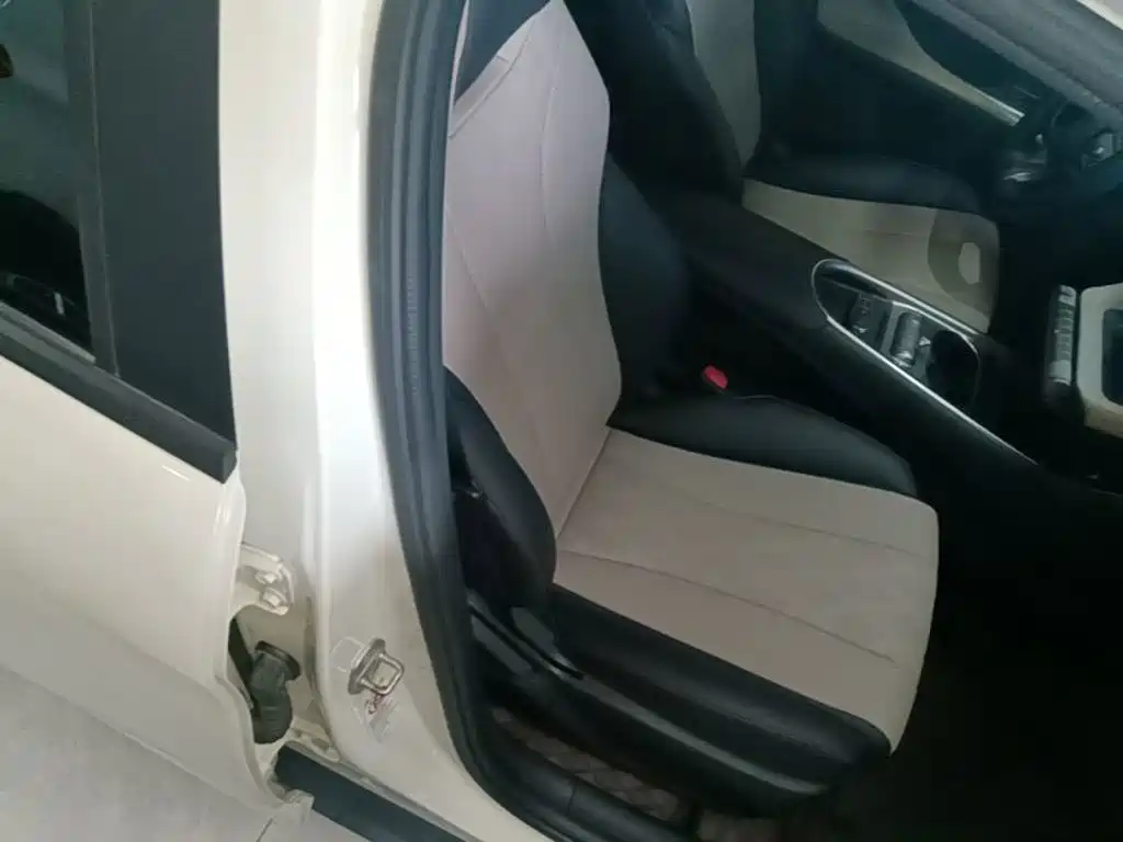 BYD Dolphin — миниатюра 25