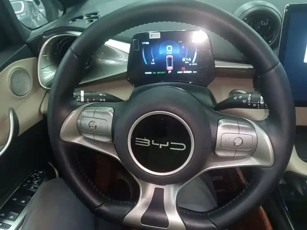 BYD Dolphin — миниатюра 11