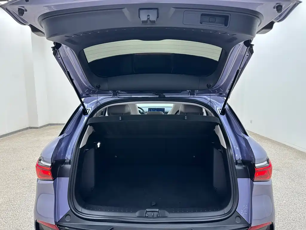 BYD Yuan Plus — миниатюра 31