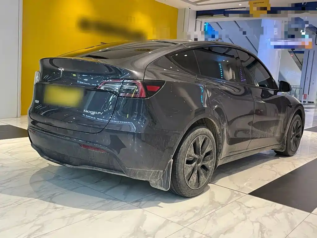 Tesla Model Y — миниатюра 7