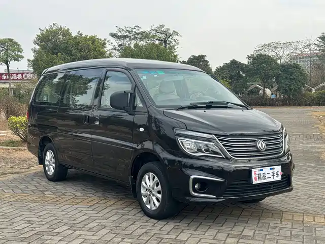 dongfeng lingzhi