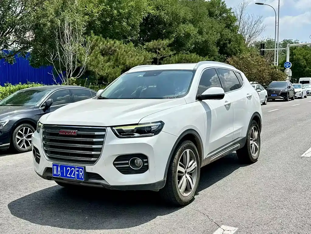 2018 Haval H6 - zdjęcie 1 z 13
