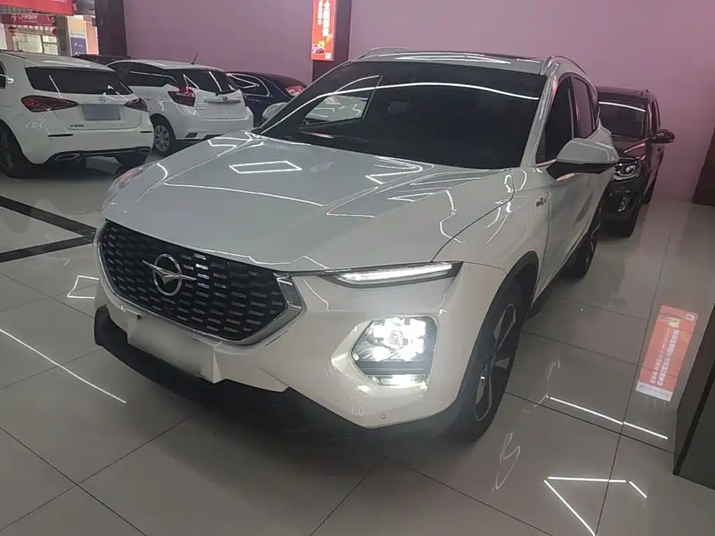 Haima Haima 8S — миниатюра 2