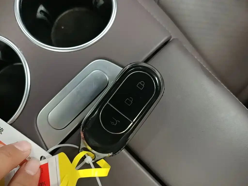 Leapmotor Leapmotor C11 — миниатюра 9