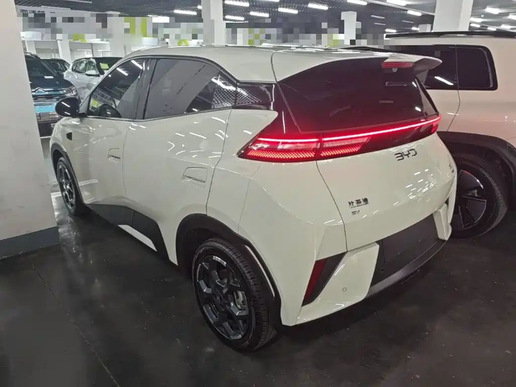 BYD Seagull 2025 Smart Drive 305km Freedom