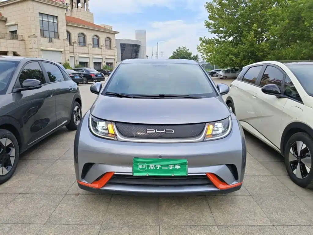 BYD Dolphin — миниатюра 3