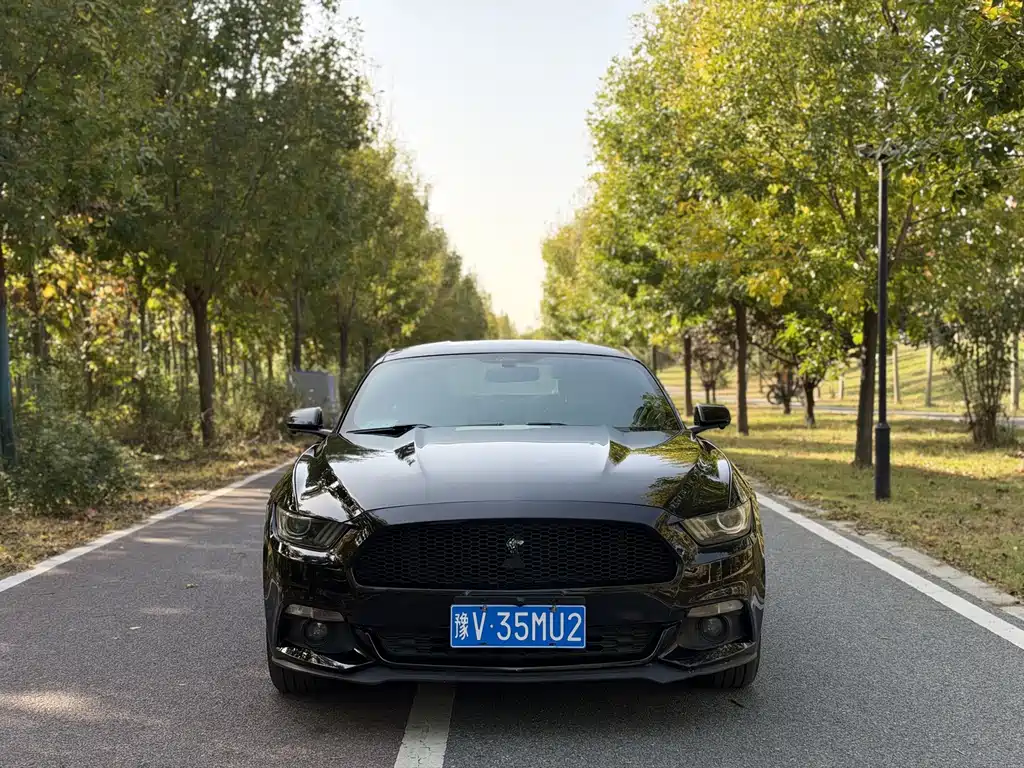 Ford Mustang — миниатюра 2