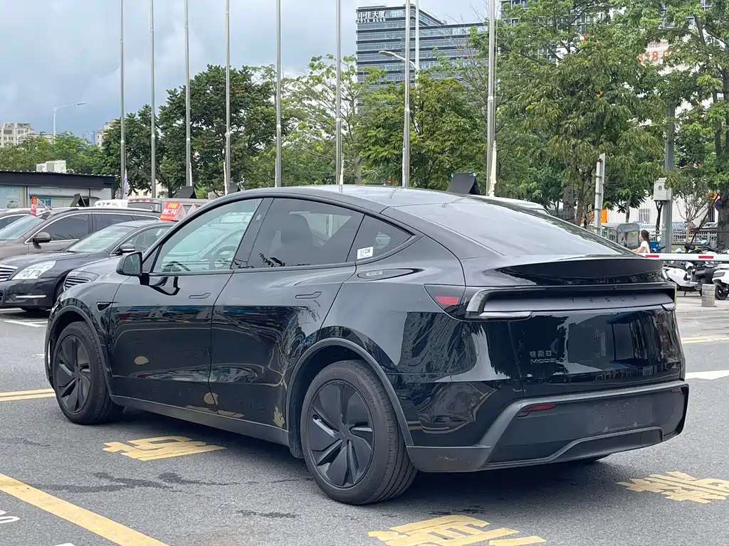 Tesla Model Y — миниатюра 12