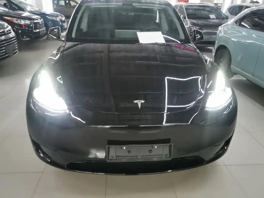 Tesla Model Y — миниатюра 3