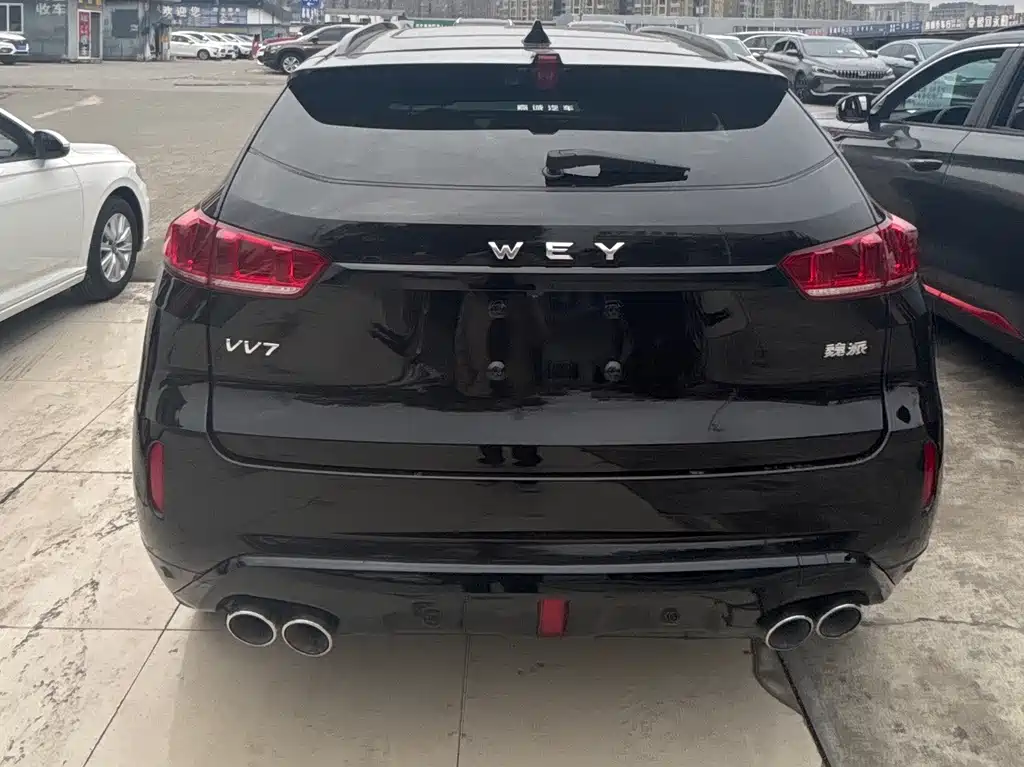 WEI PAI WEI BRAND VV7