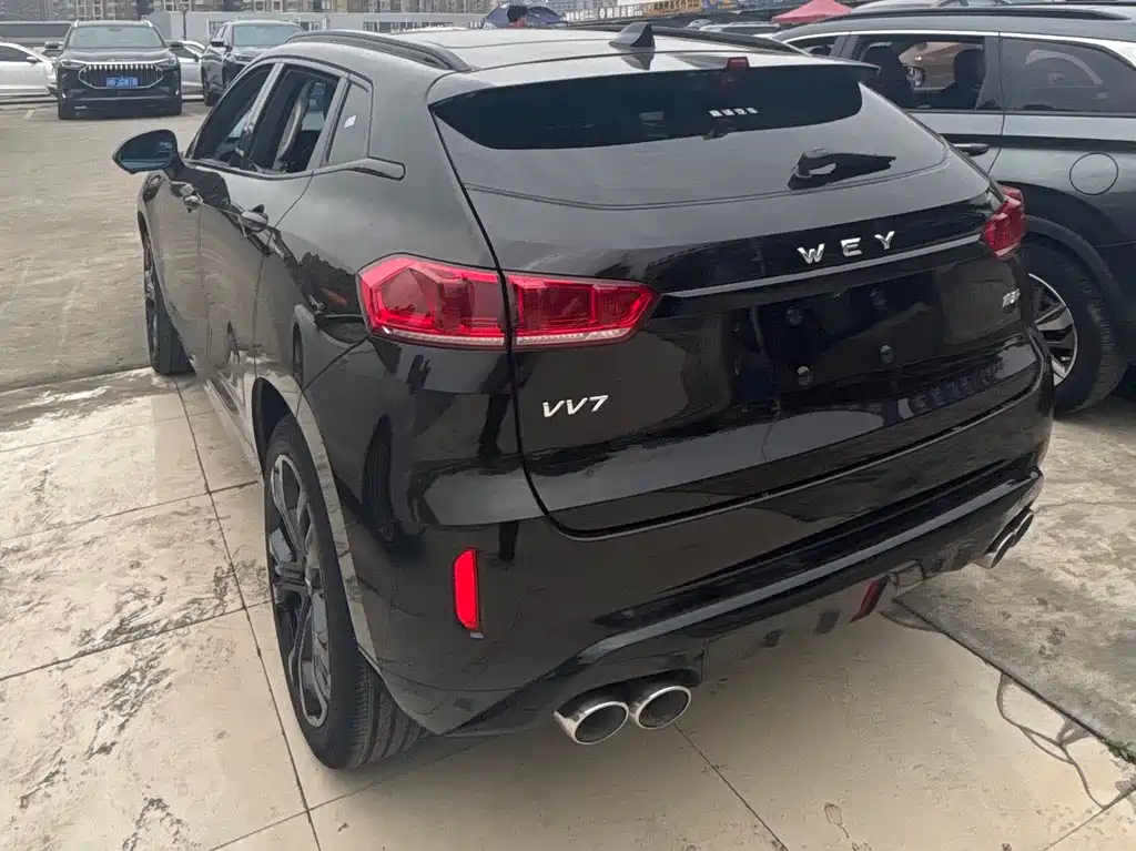 WEI PAI WEI BRAND VV7