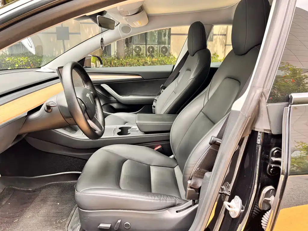 Tesla Model 3 — миниатюра 4