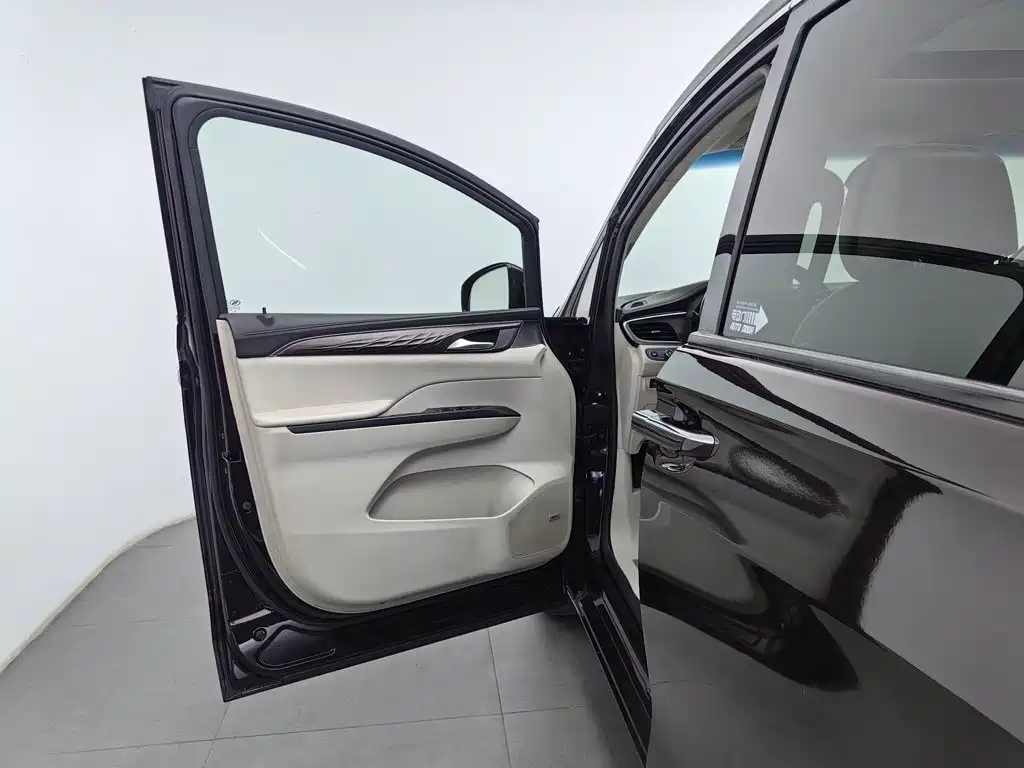 Buick GL8 — миниатюра 8