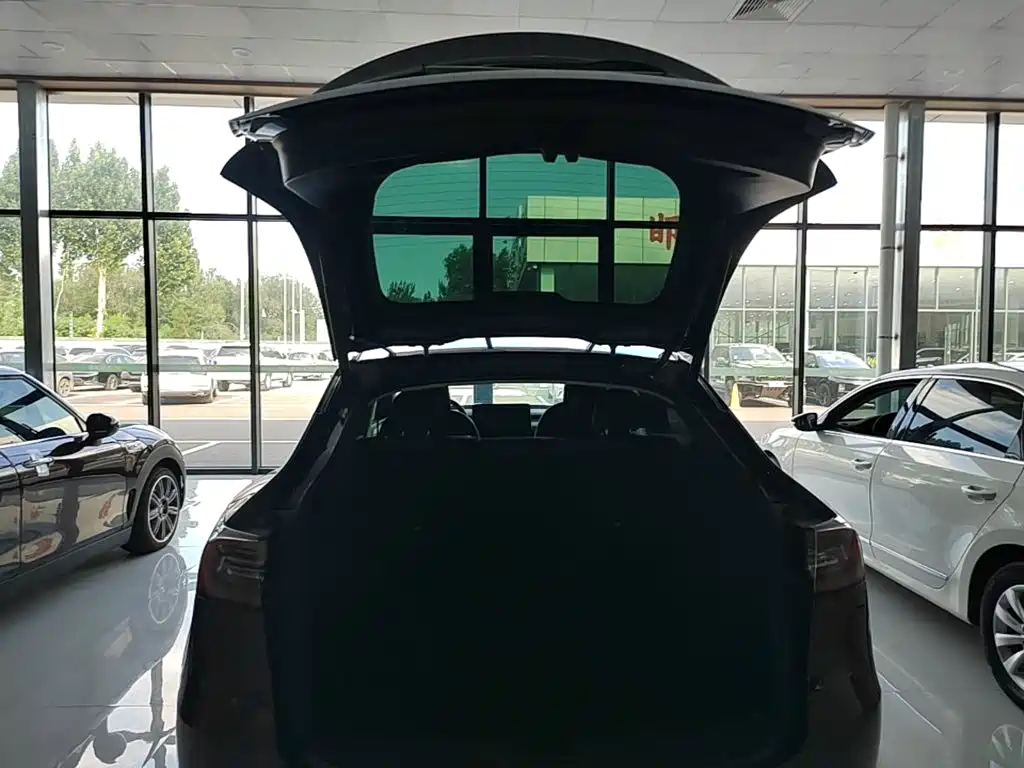 Tesla Model Y — миниатюра 19