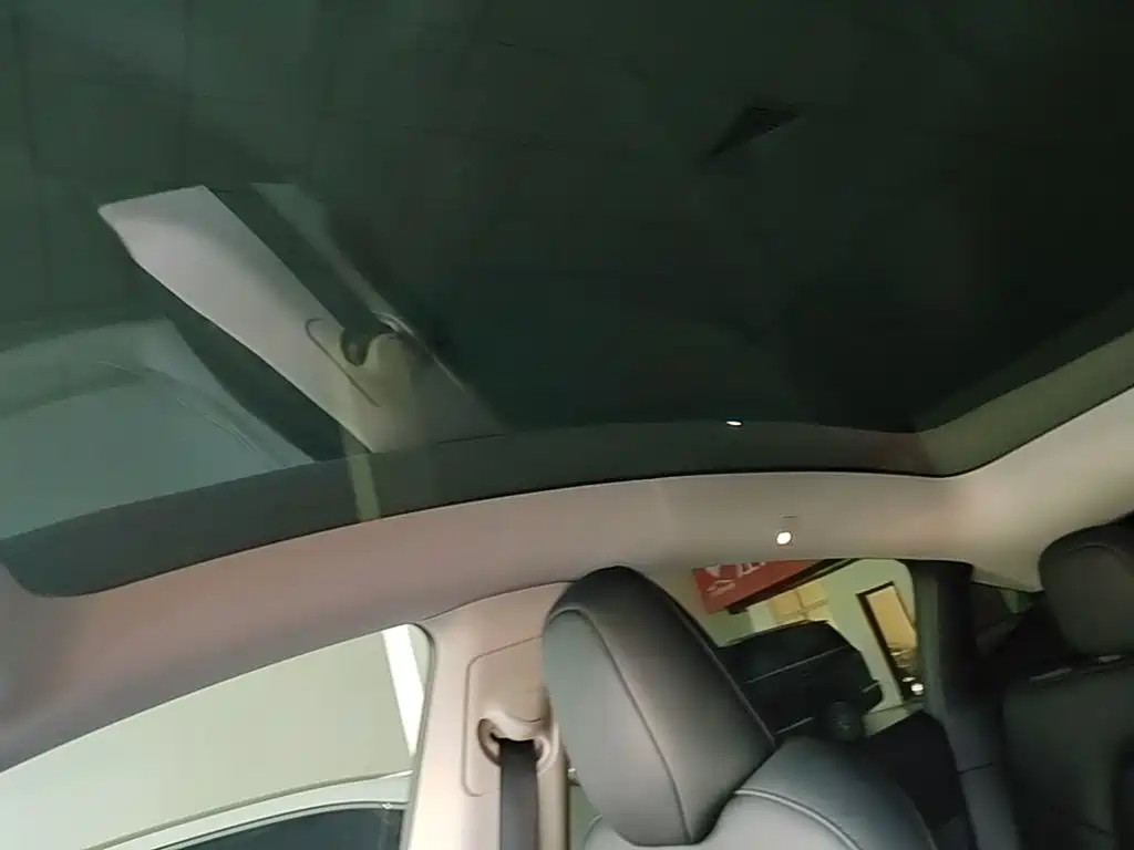 Tesla Model Y — миниатюра 18