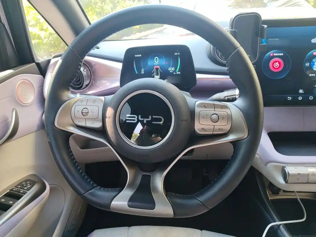 BYD Dolphin — миниатюра 3