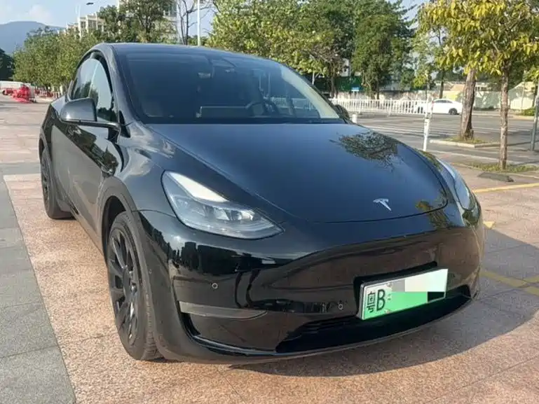 Tesla Model Y — миниатюра 3
