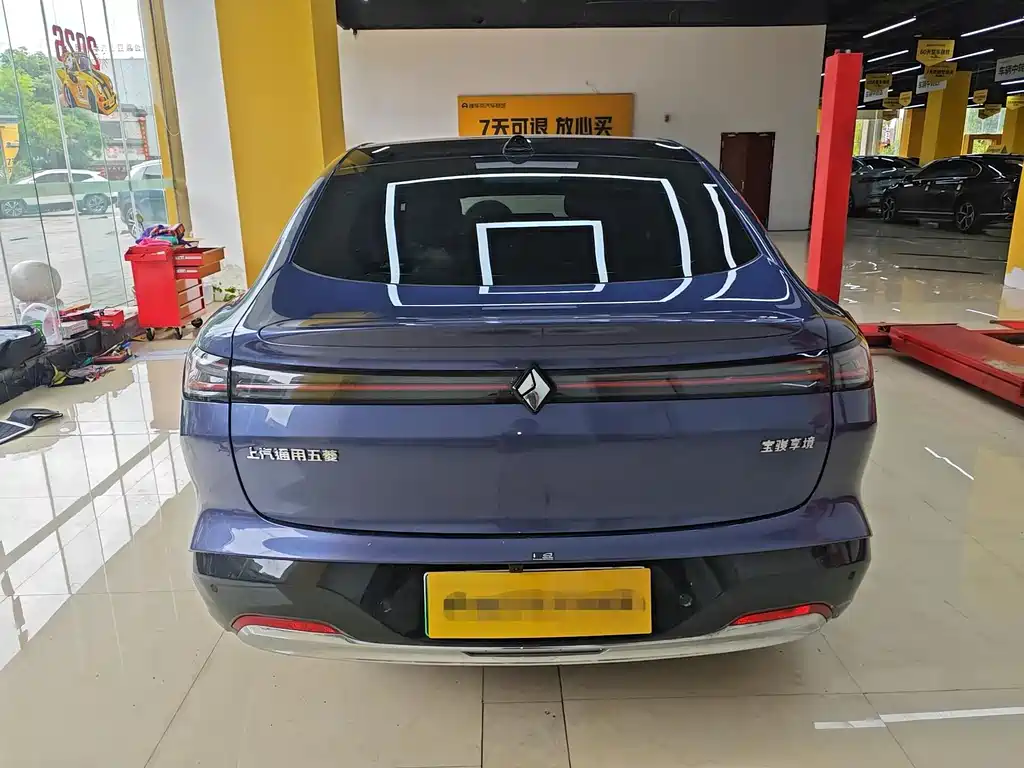 Baojun Xiangjing 2025 600km Luxury