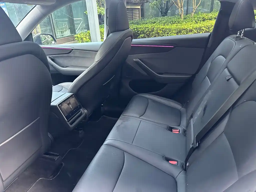 Tesla Model Y — миниатюра 9