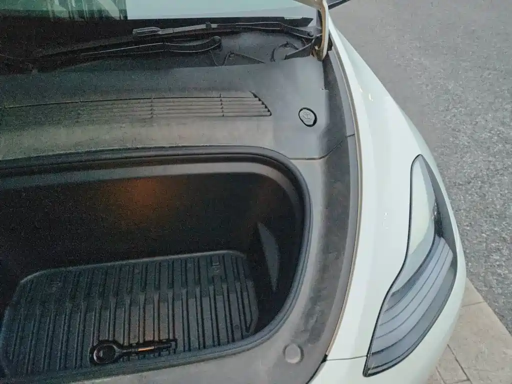 Tesla Model Y — миниатюра 23
