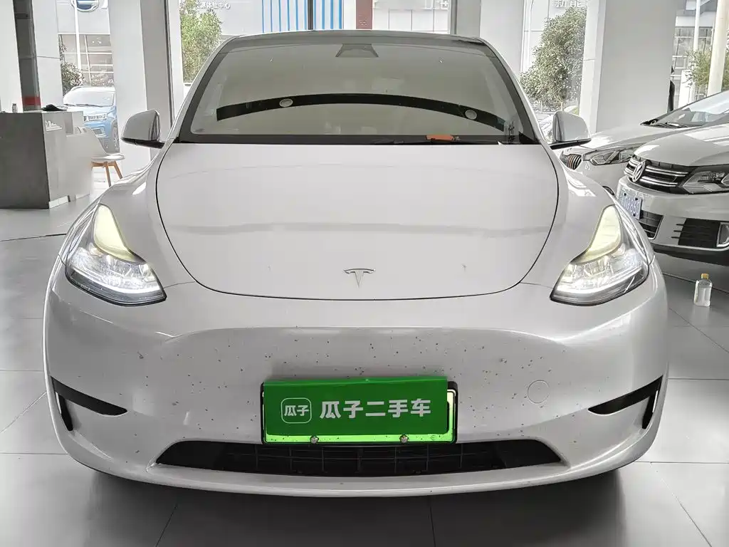 Tesla Model Y — миниатюра 3
