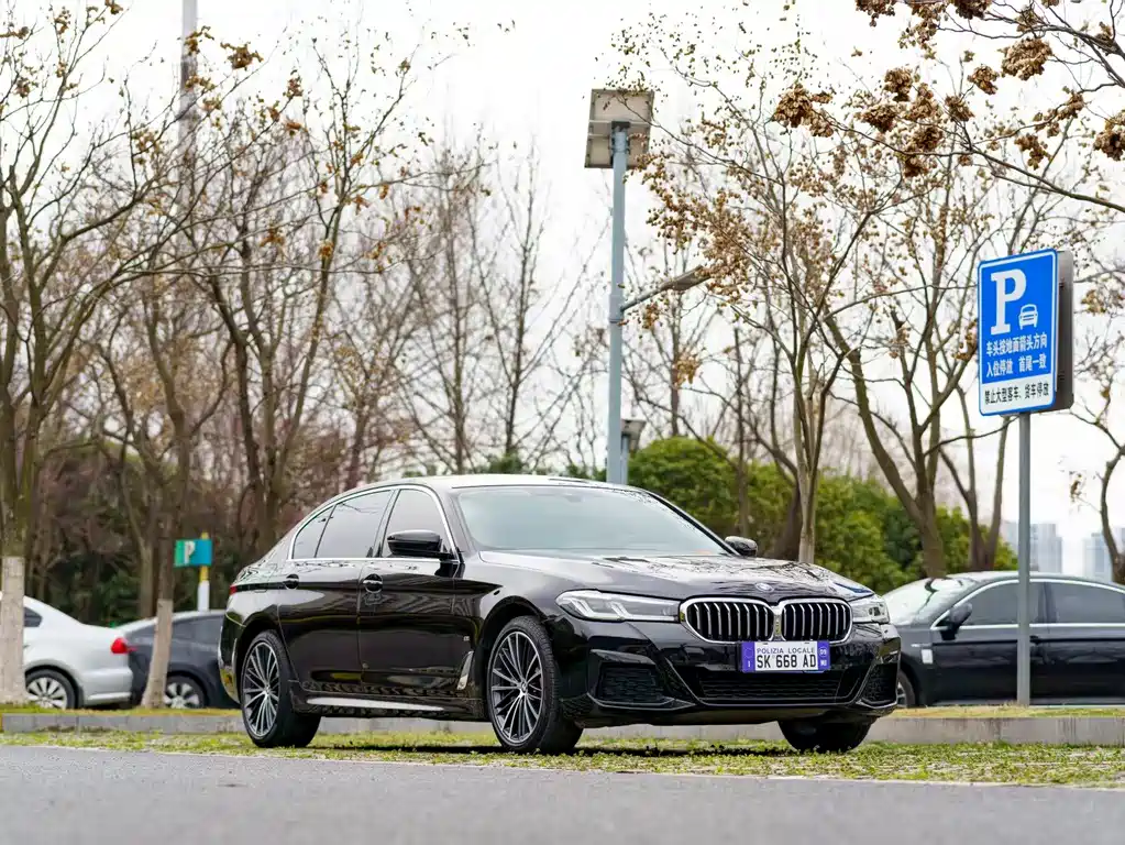 BMW 5 SERIES