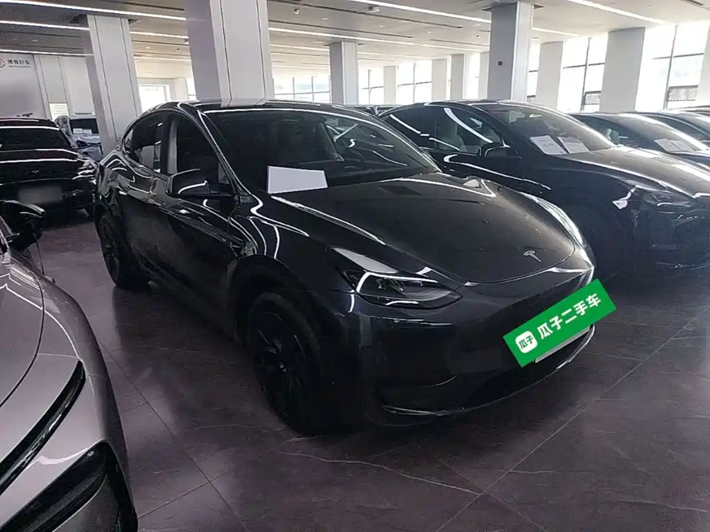 Tesla Model Y — миниатюра 4
