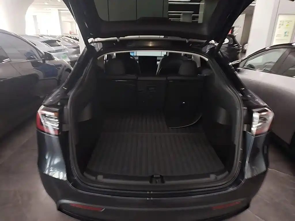 Tesla Model Y — миниатюра 19