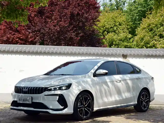 2024 Geely Binrui