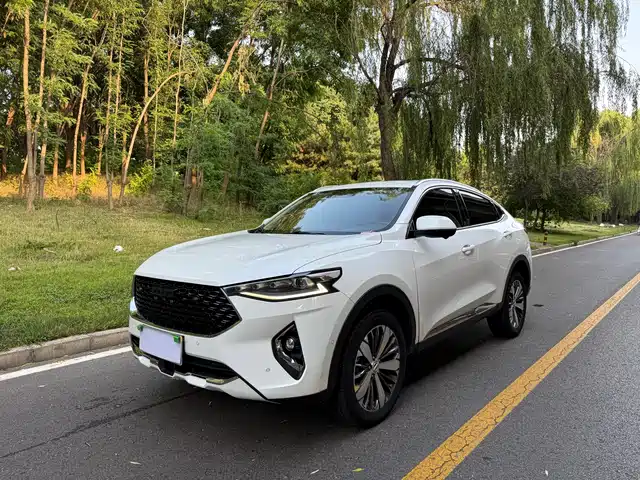 2019 Haval F7x