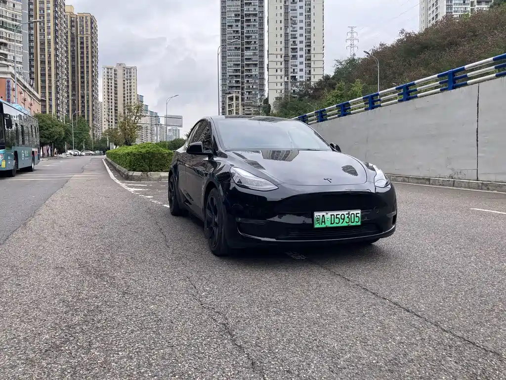 Tesla Model Y — миниатюра 3